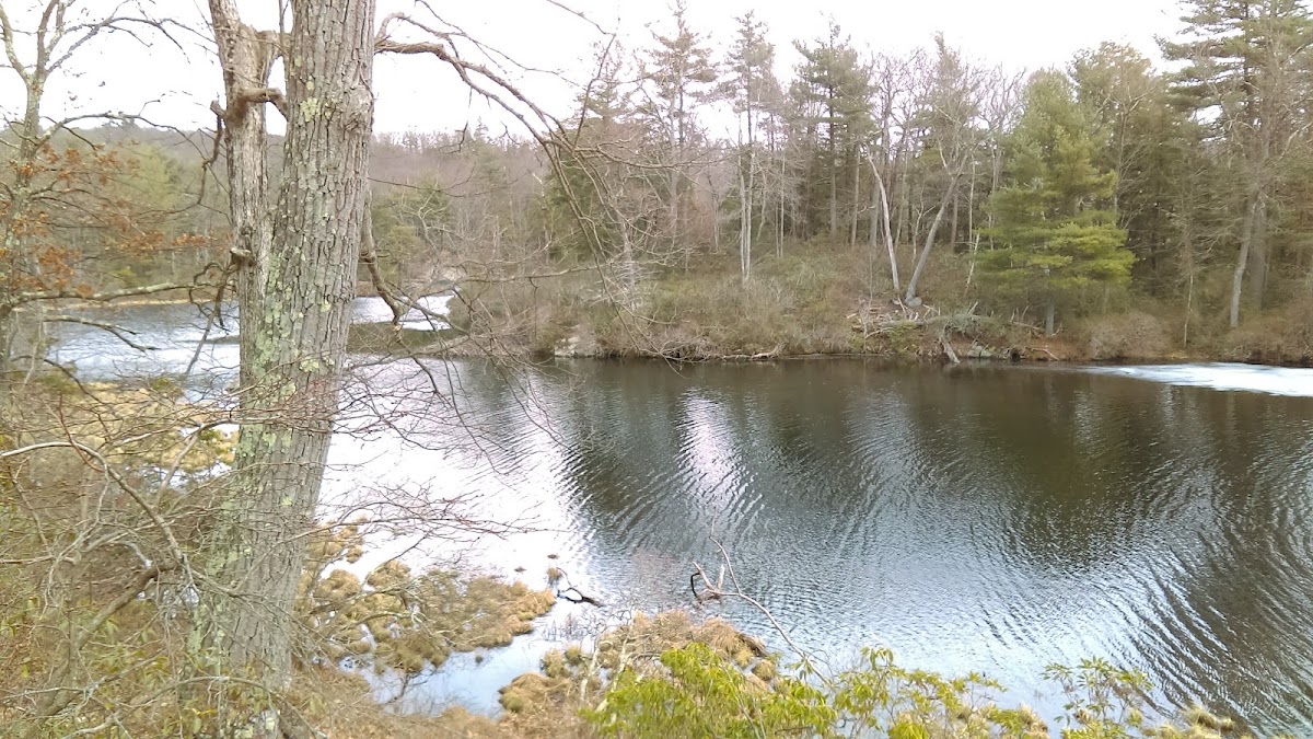 Little Dam Lake