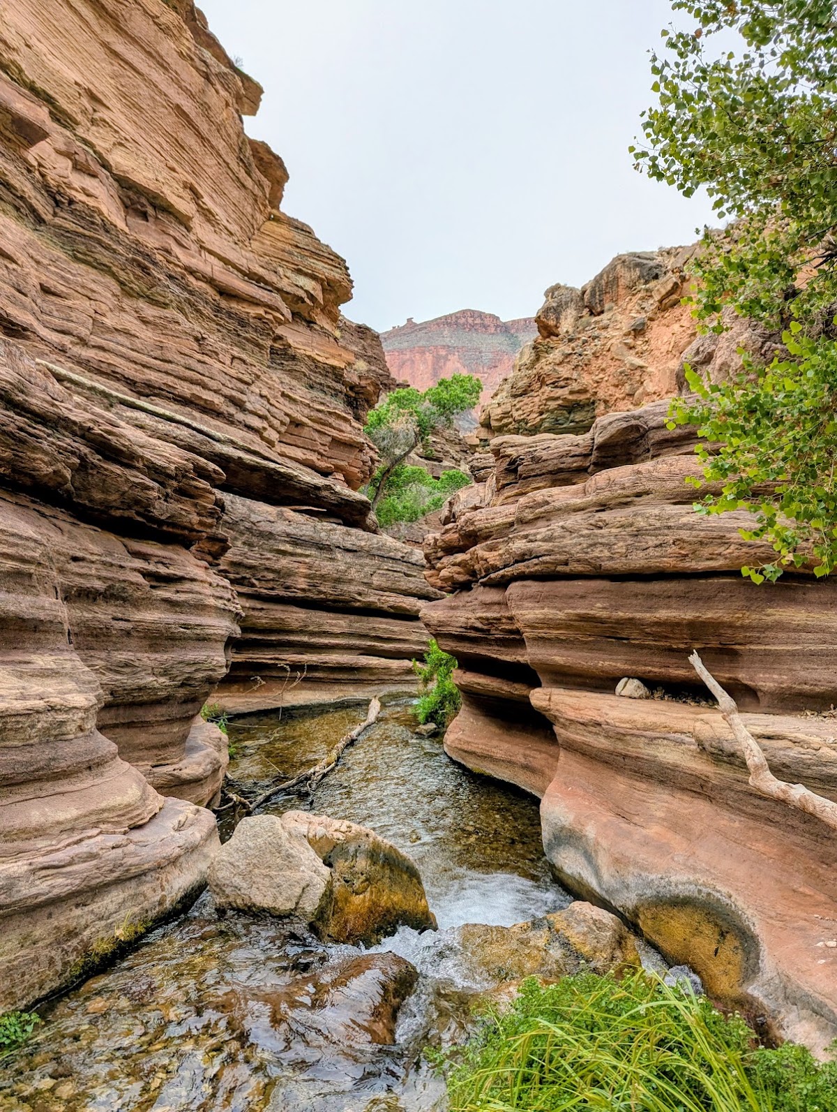 Deer Creek Trail