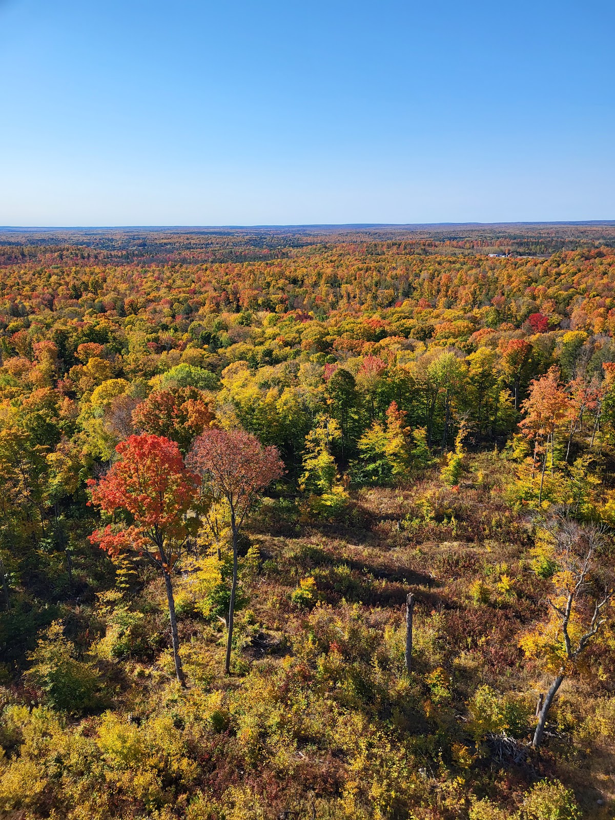Flambeau ATV Trail 102