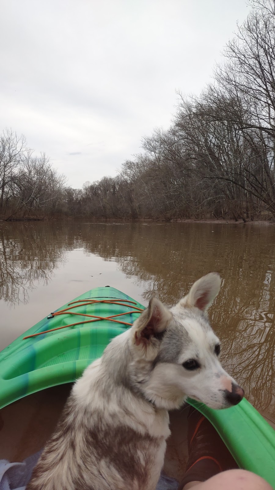 Sandy Creek