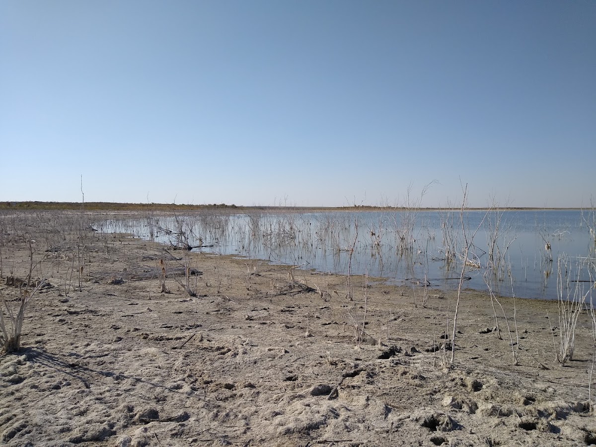 Red Bluff Reservoir