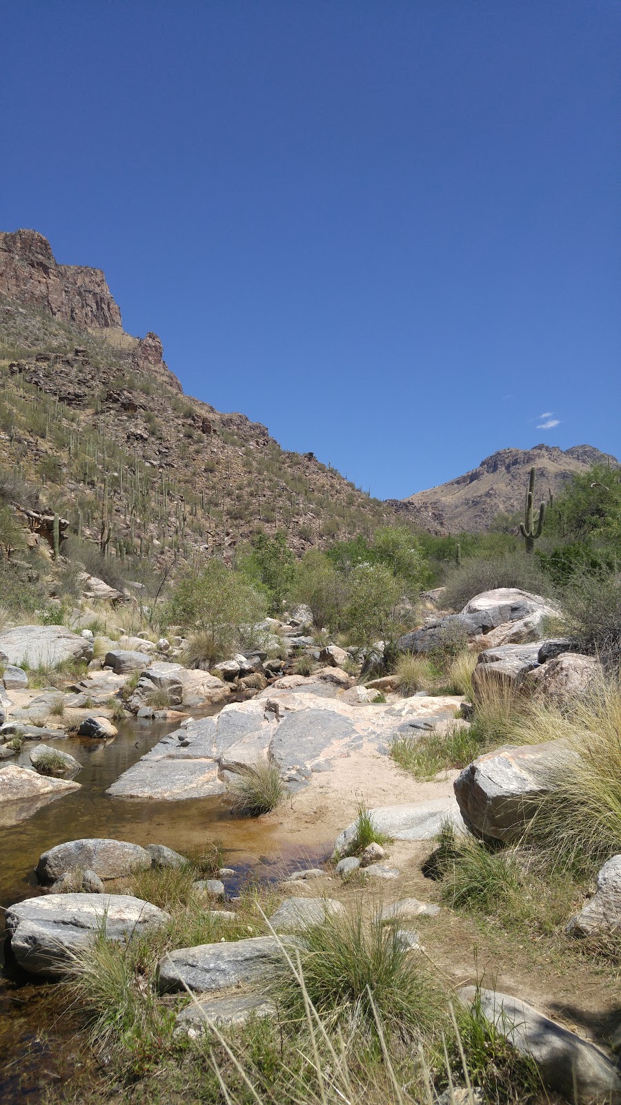 Bear Canyon Trail #29