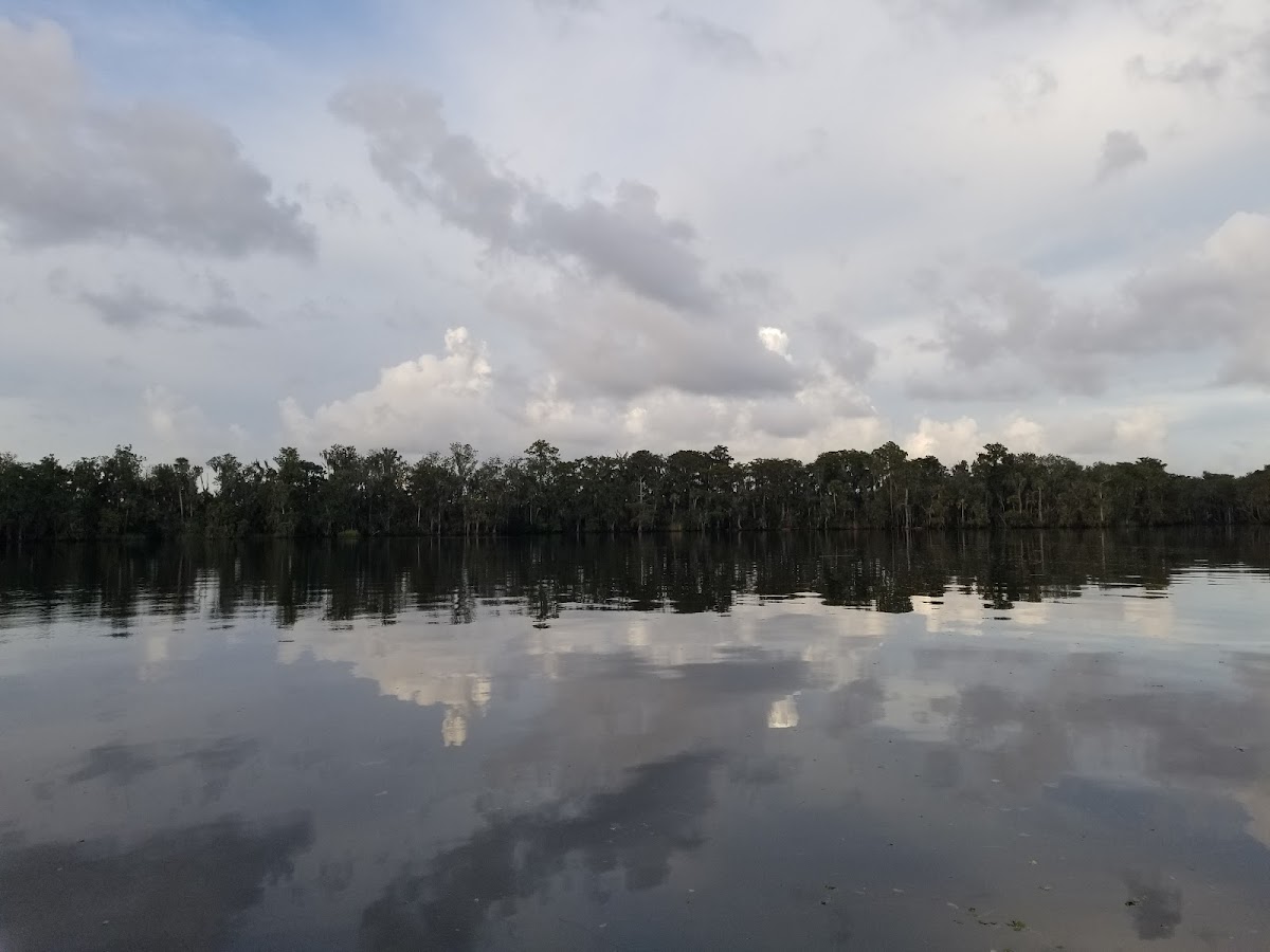 Lake Wimico