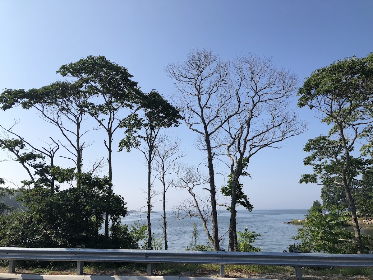 Jordan Cove
