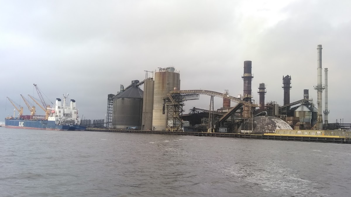 Taylor's Bayou
