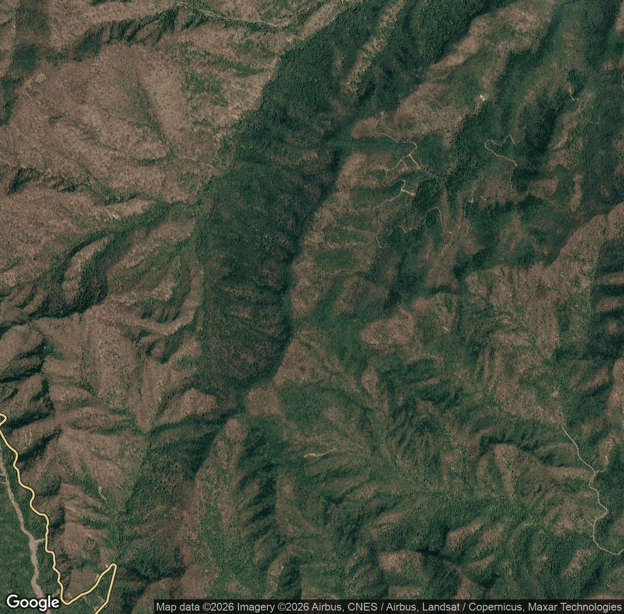 Woods Mountain Trail