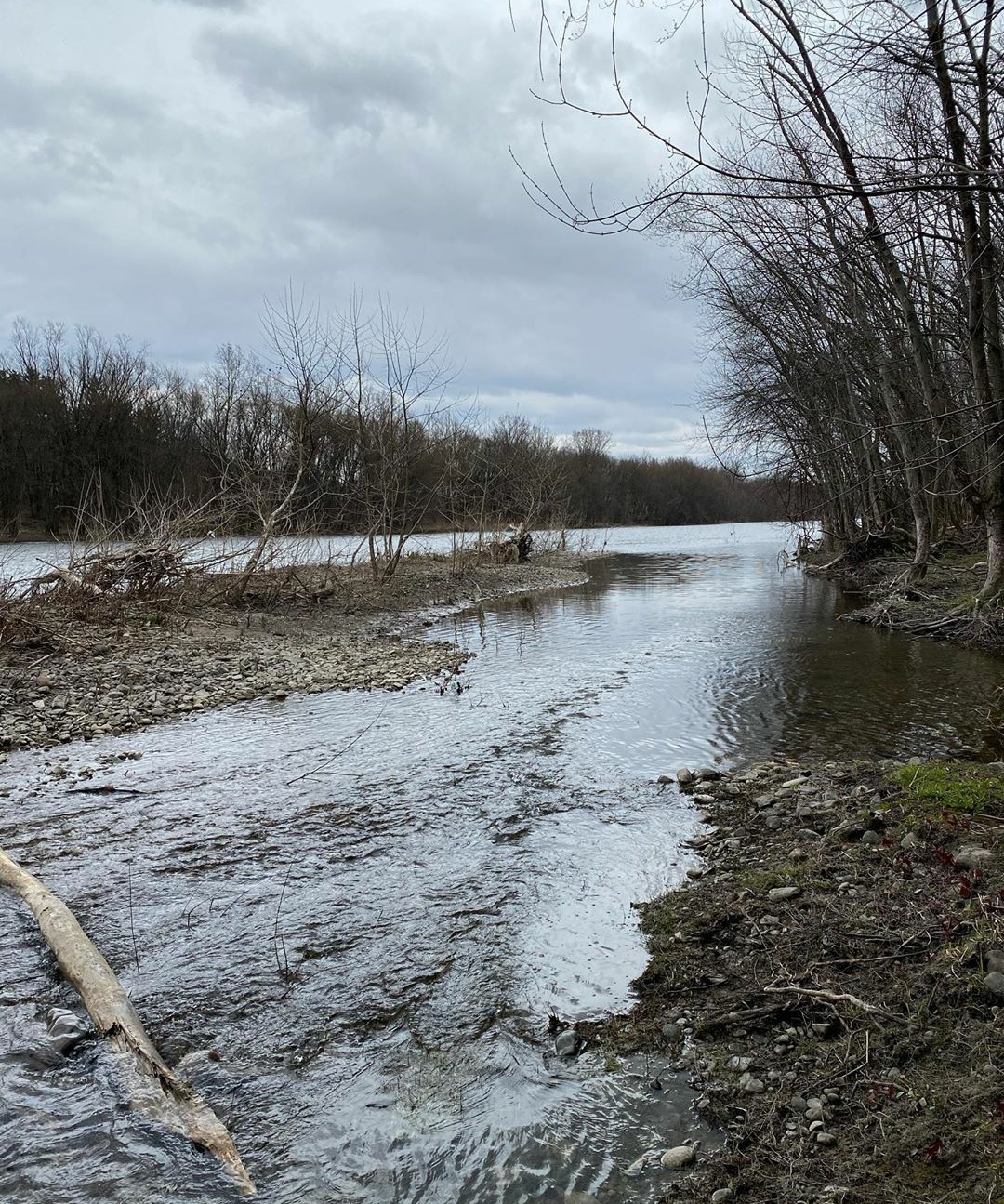 Chenango River