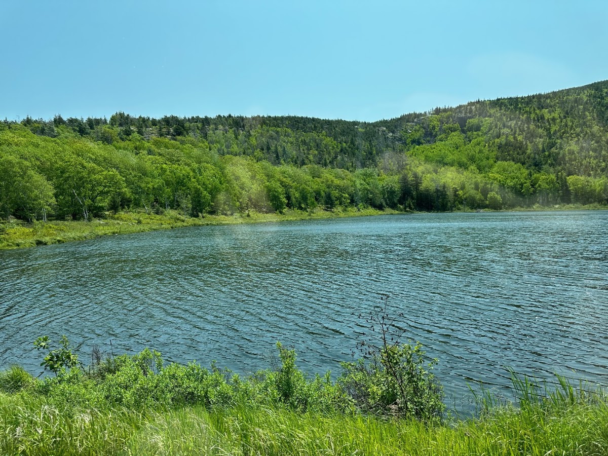 Beaver Dam Pond