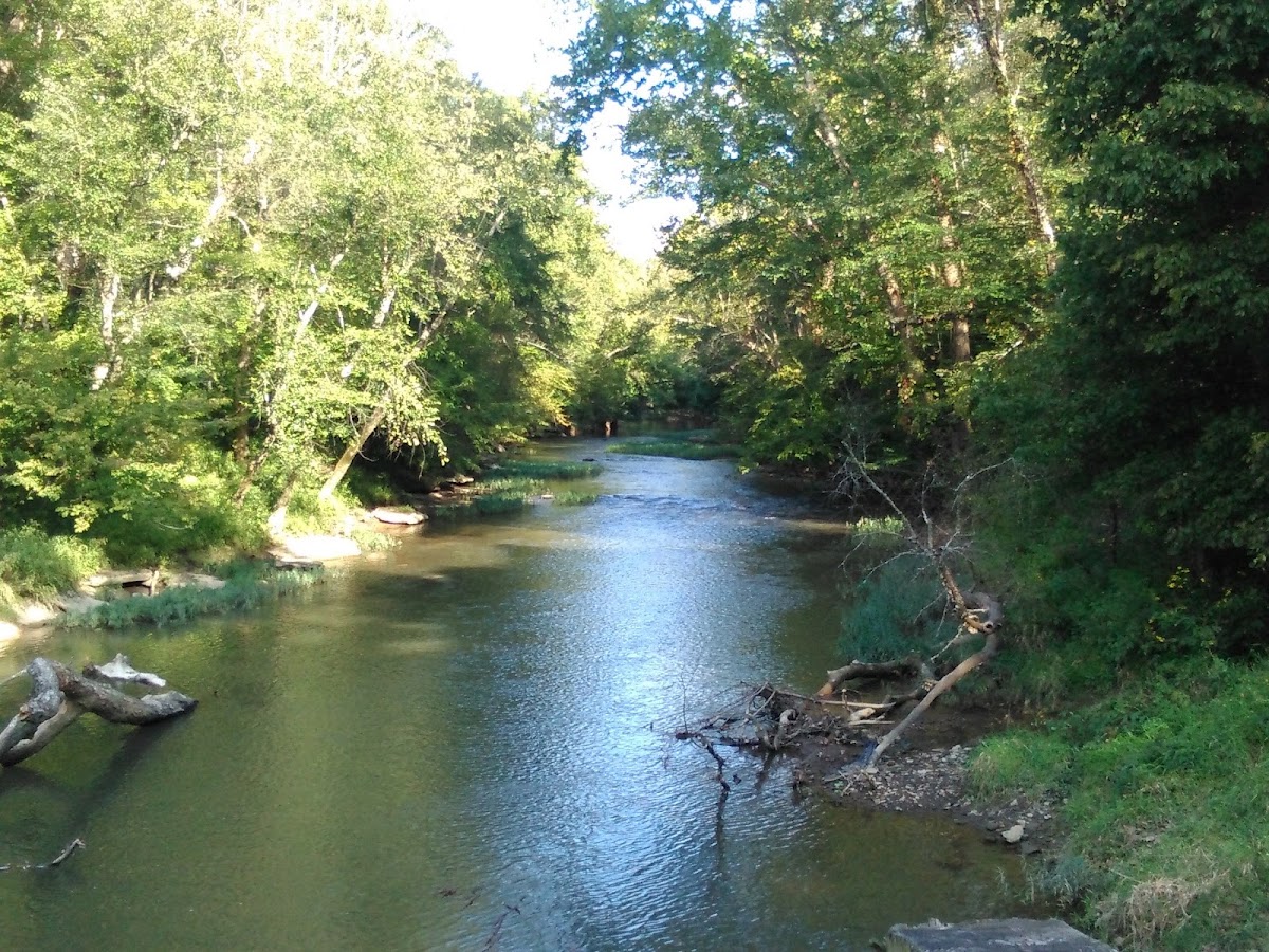 Rockcastle River