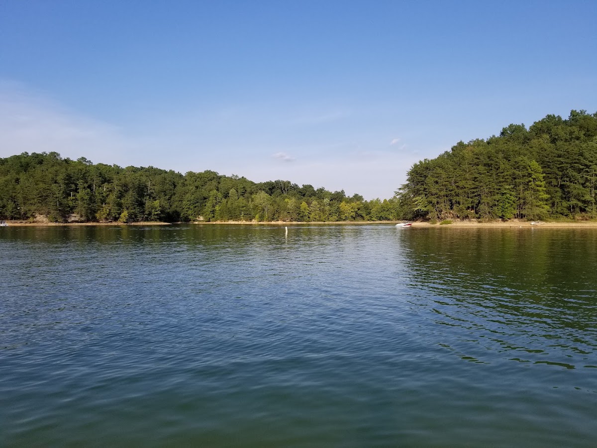 Laurel River