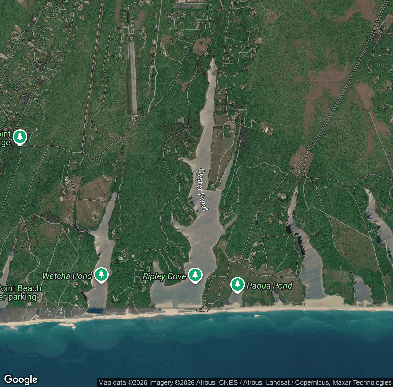 Oyster Pond