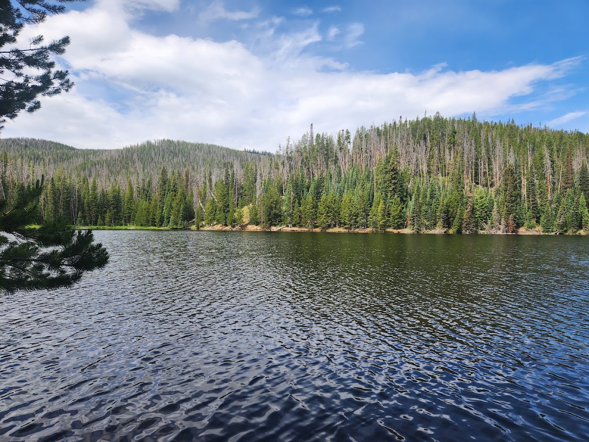 Hog Park Reservoir