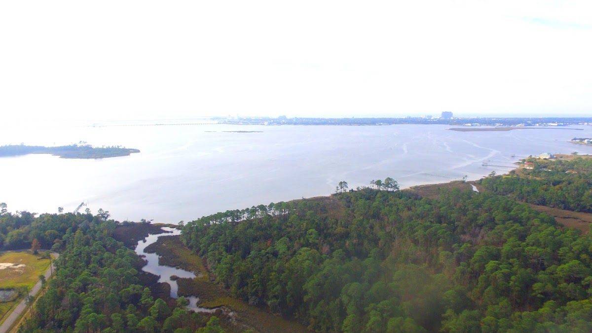 Bayou Porteaux