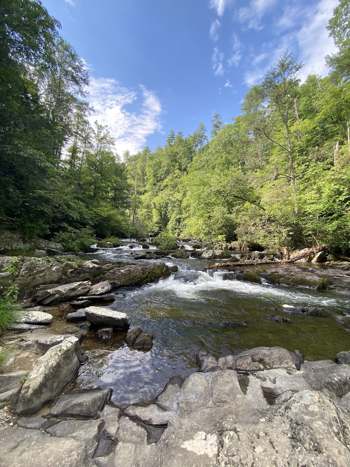 Abrams Falls Trail