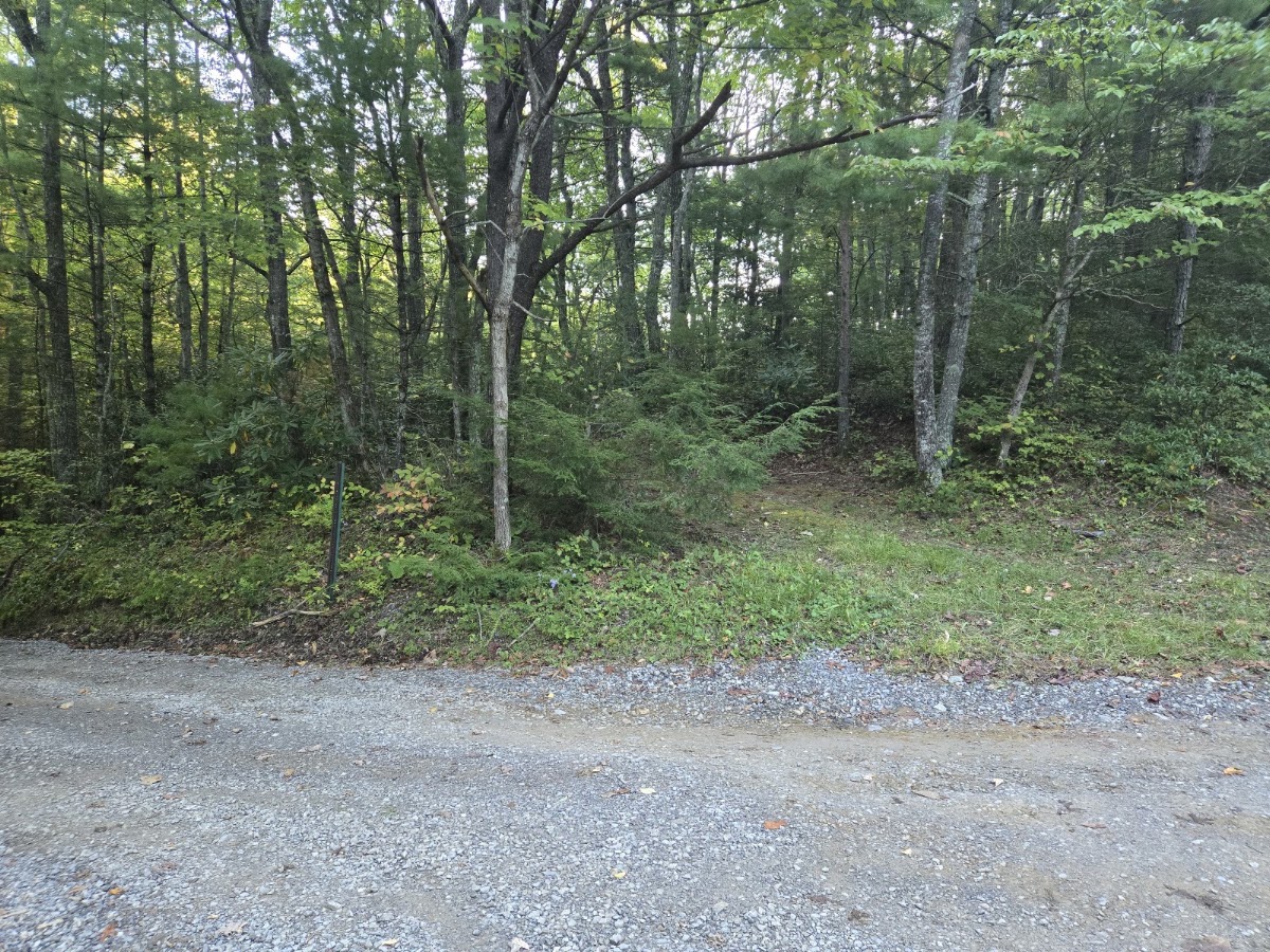 Hannah Mountain Trail