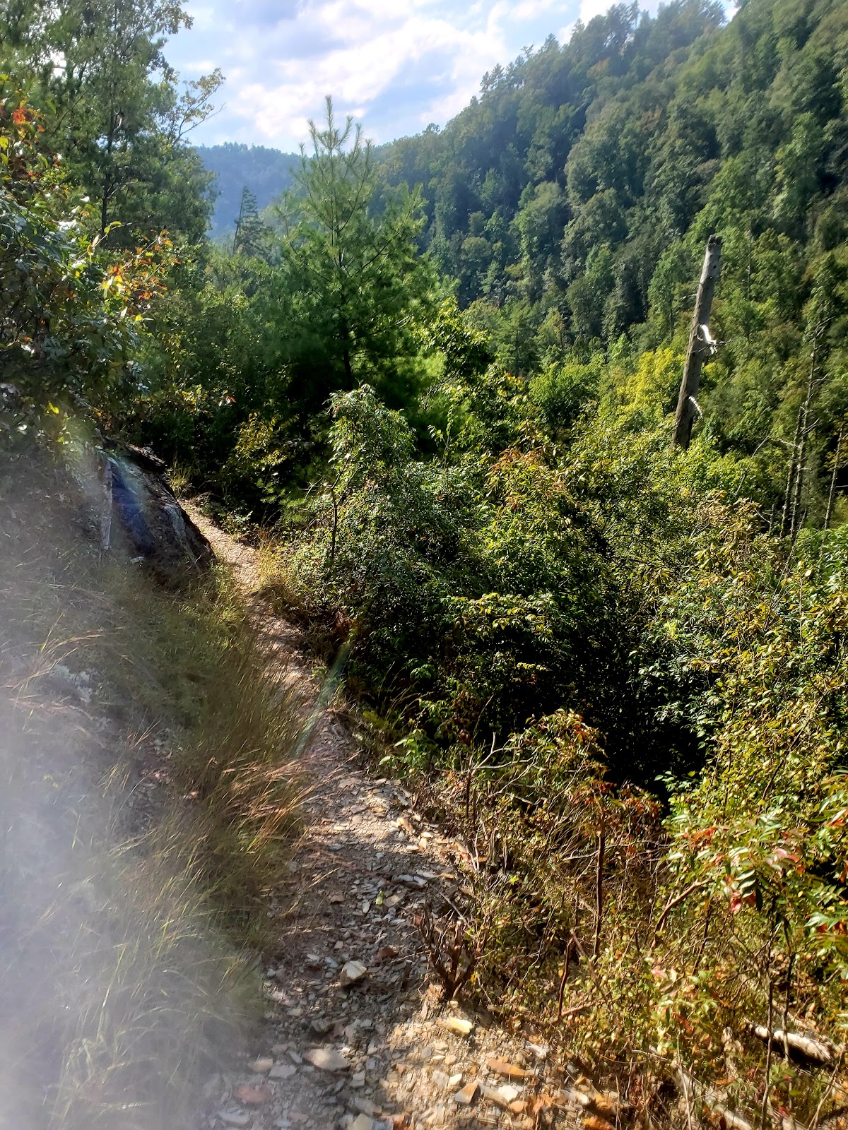 Hatcher Mountain Trail