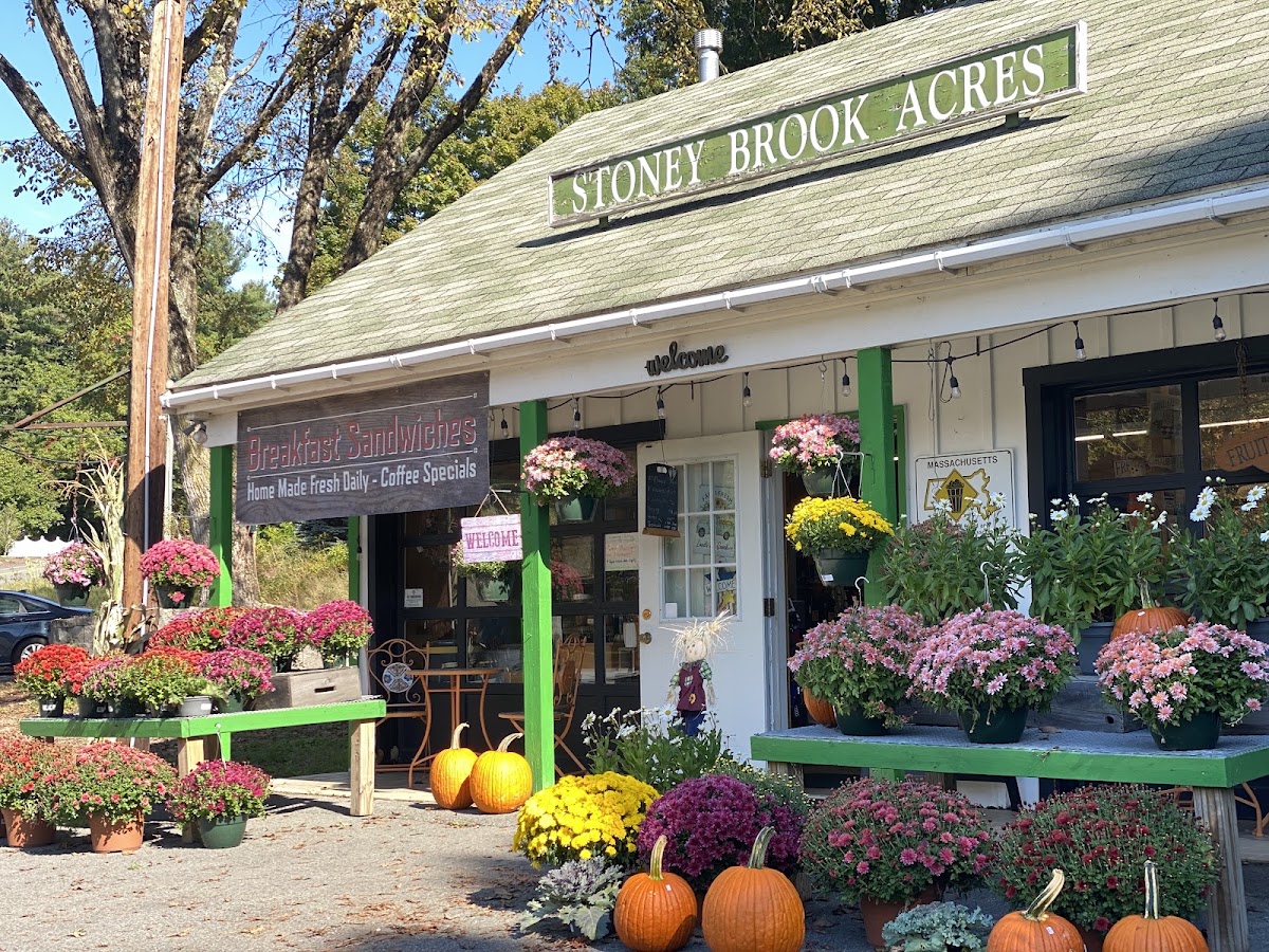 Stony Brook