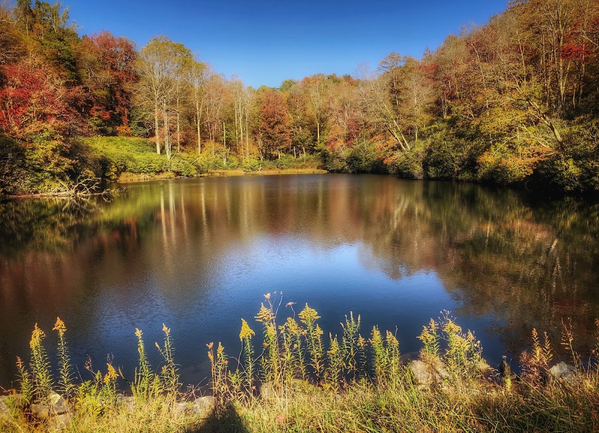 Green Knob Trail