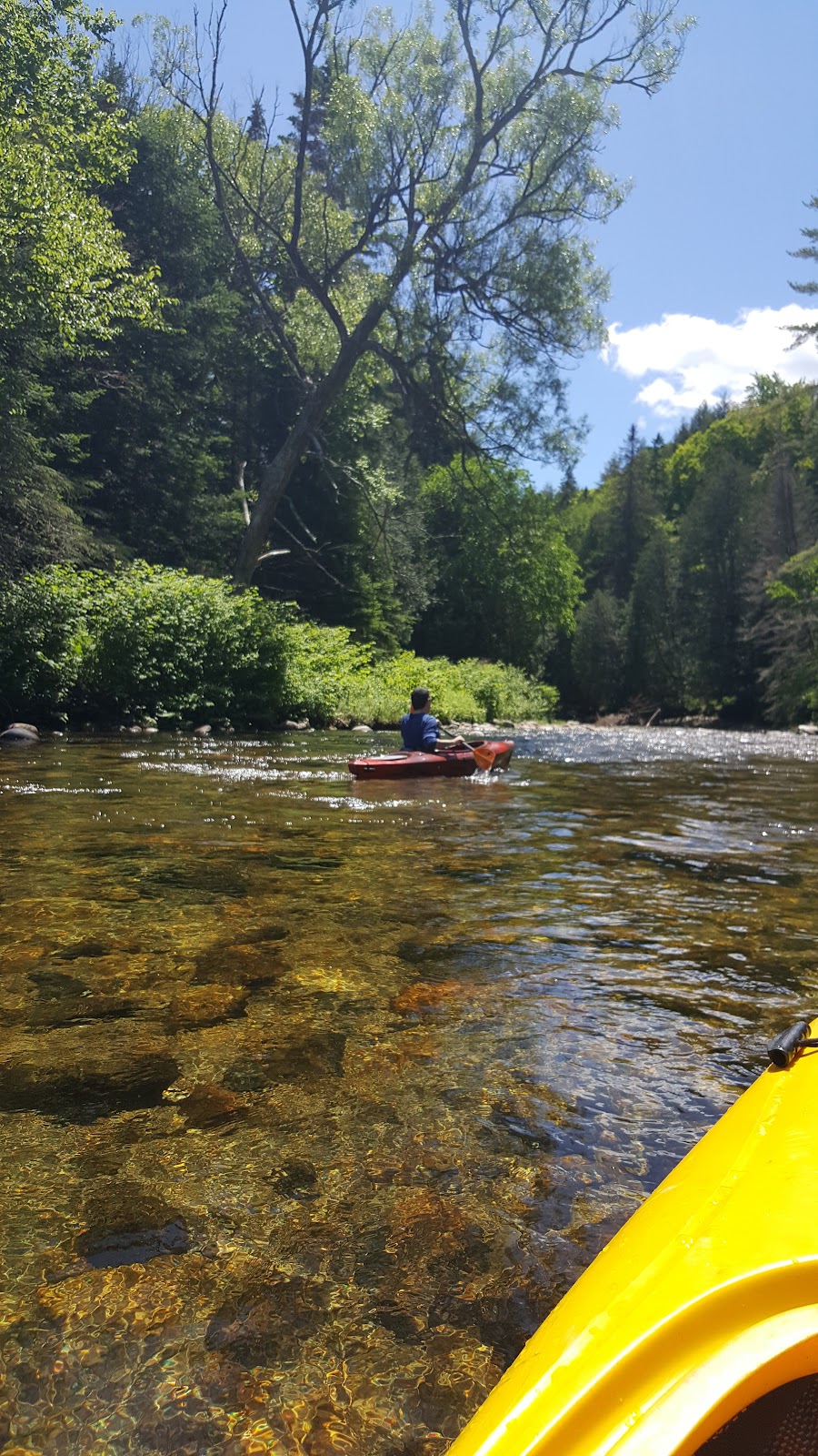 Passumpsic River