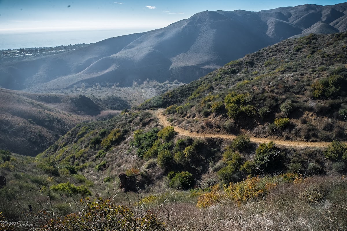 Zuma Canyon Trail