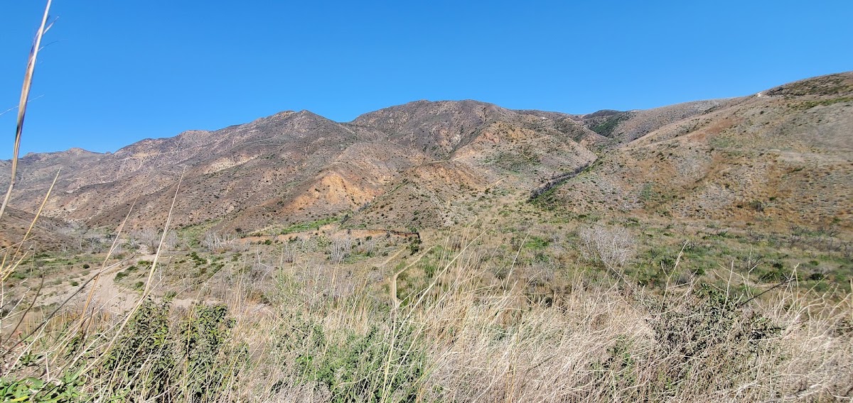 Zuma Loop Trail