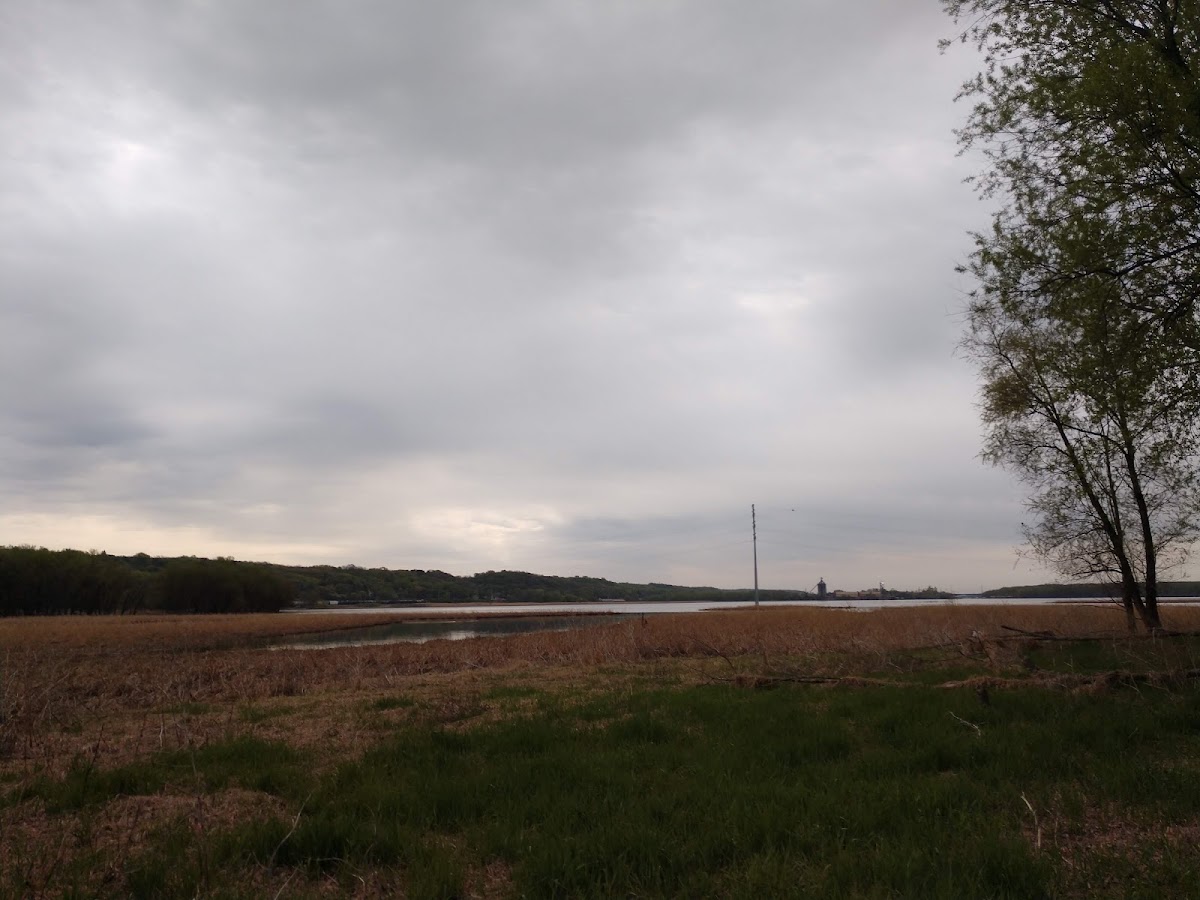 Pig's Eye Lake