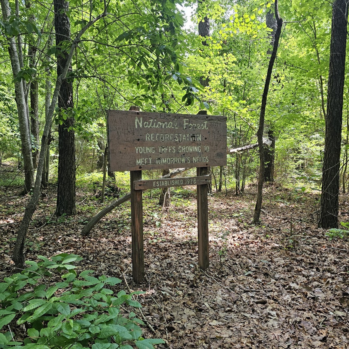 Dutchman'S Creek Trail