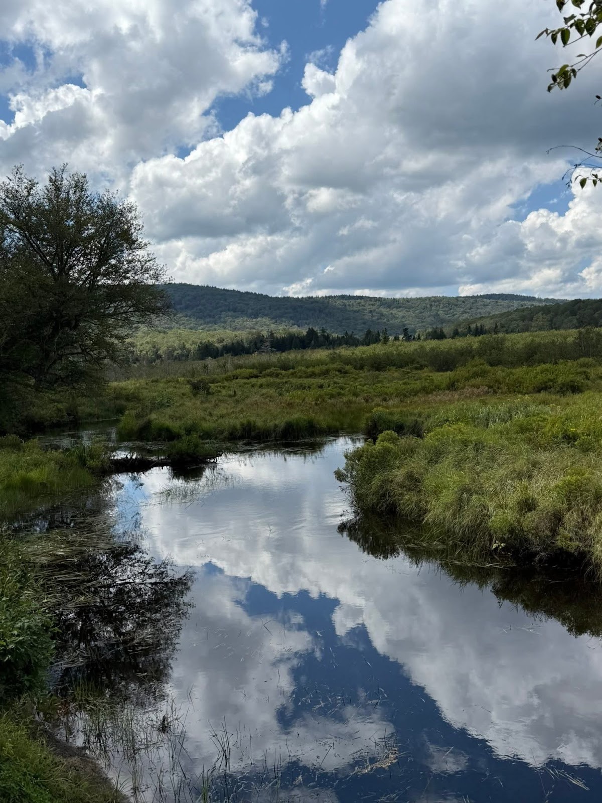 Blackwater River