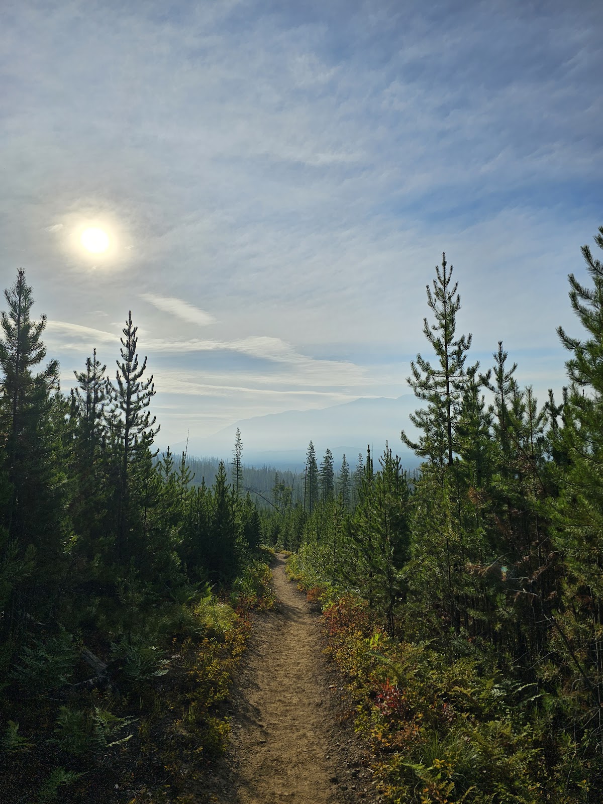 Apgar Lookout