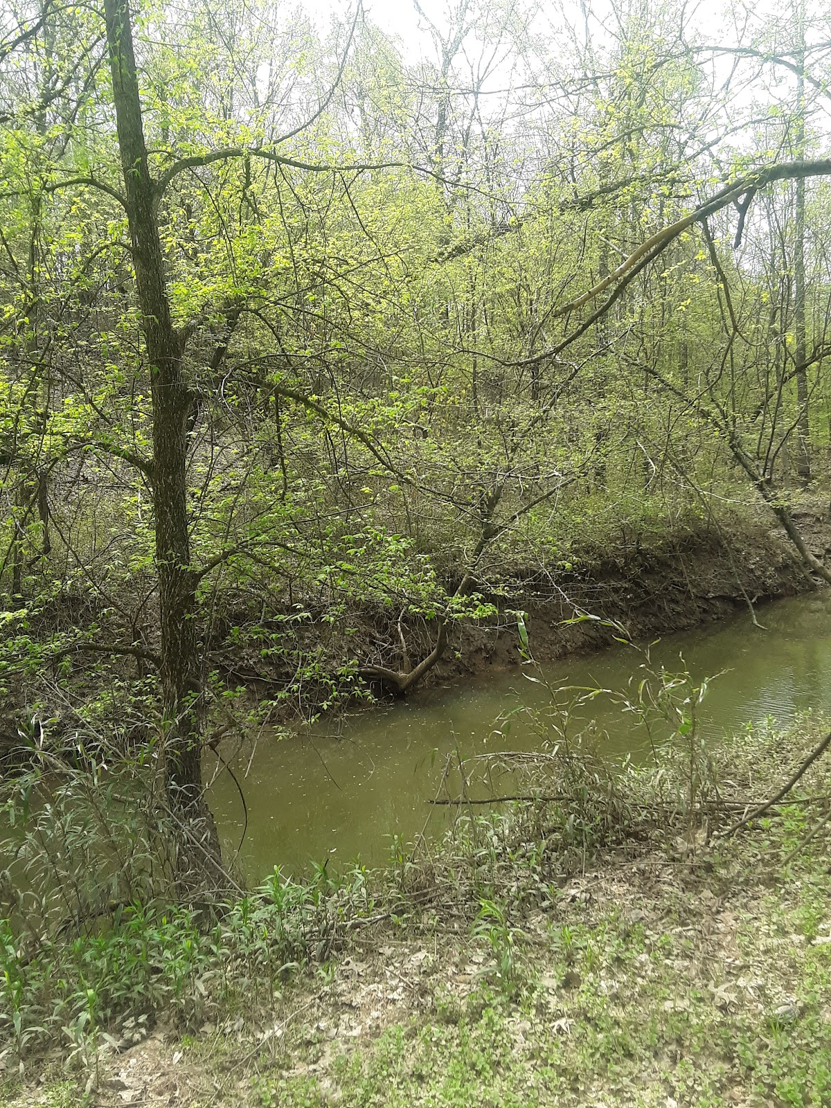Tradewater River
