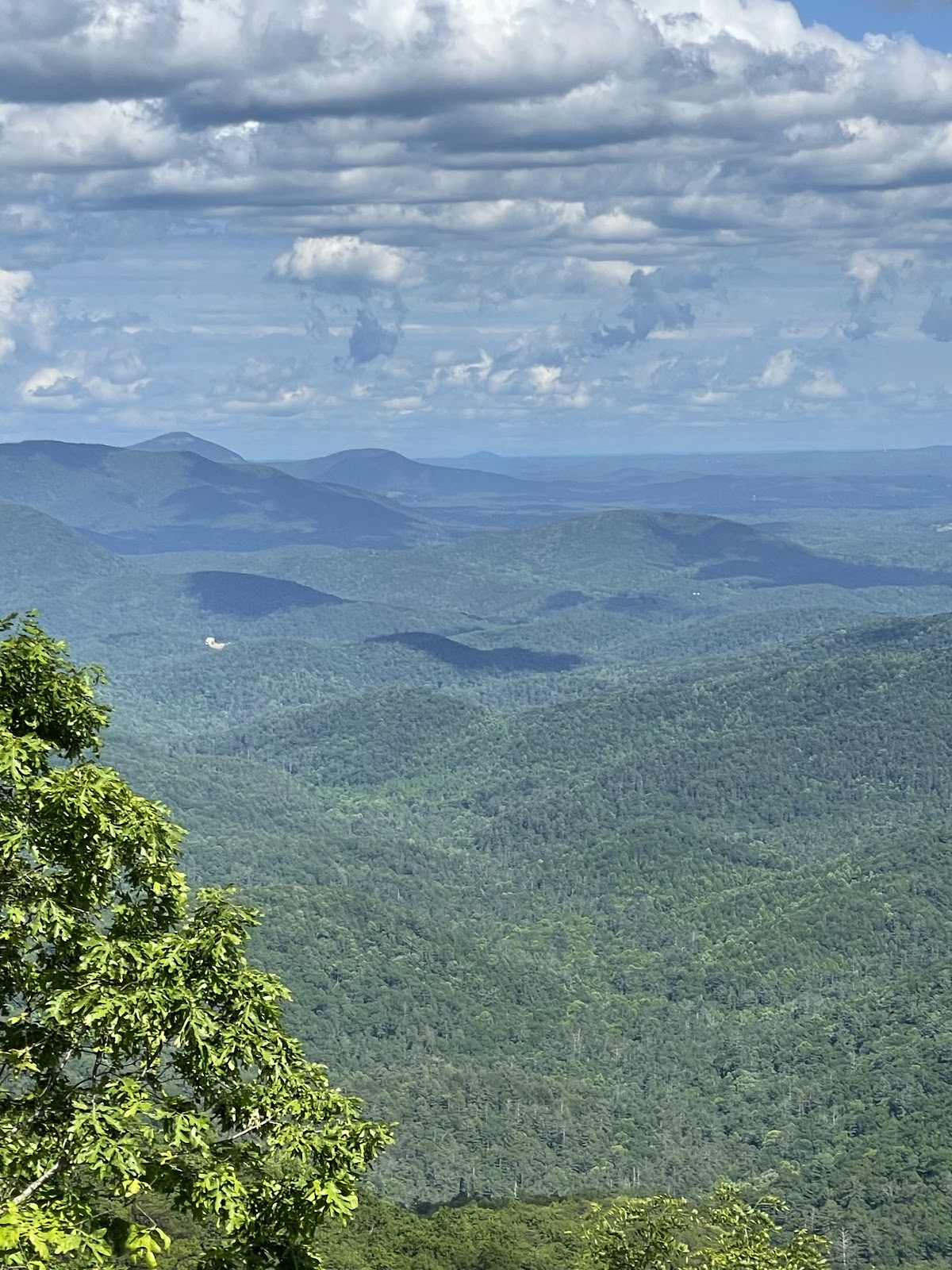 Augustine Gap Road