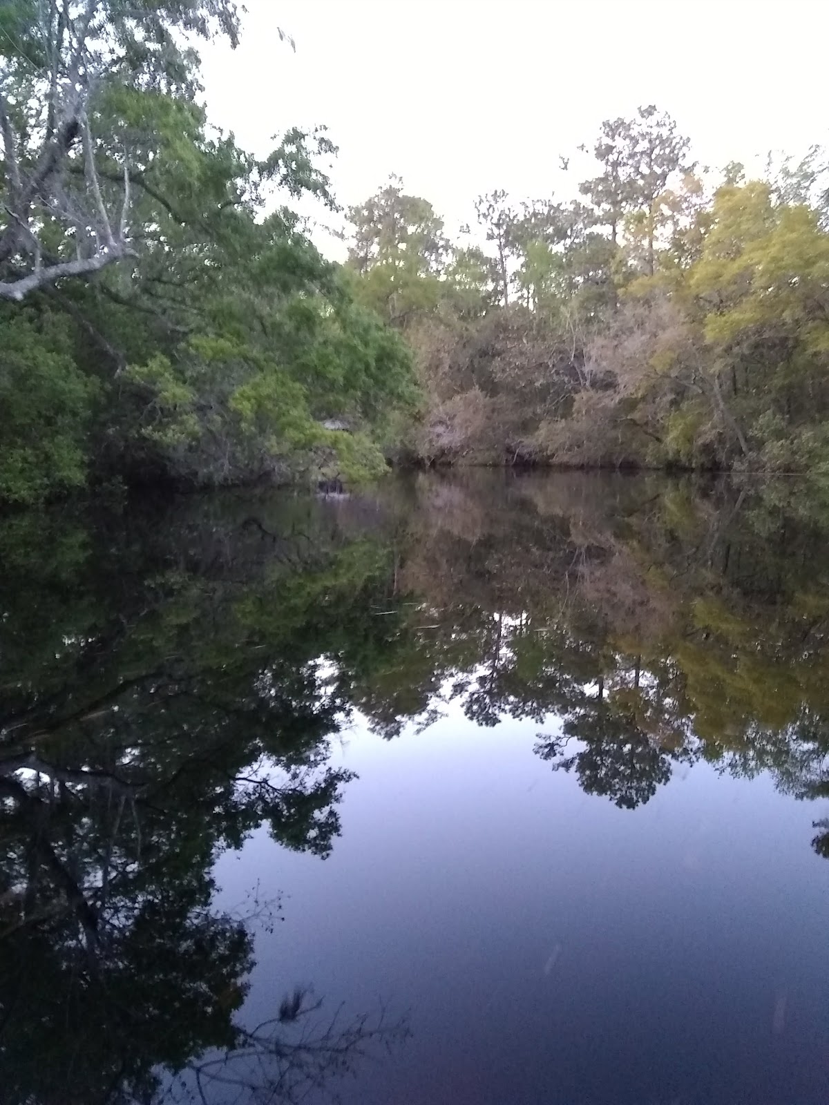 Sopchoppy River