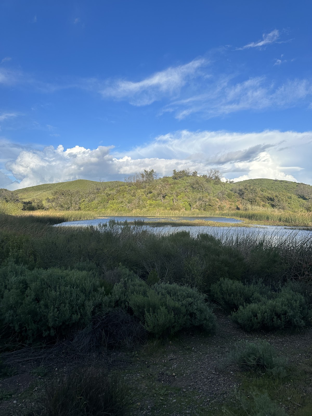 Nicholas Flats - Charmlee Connector Trail