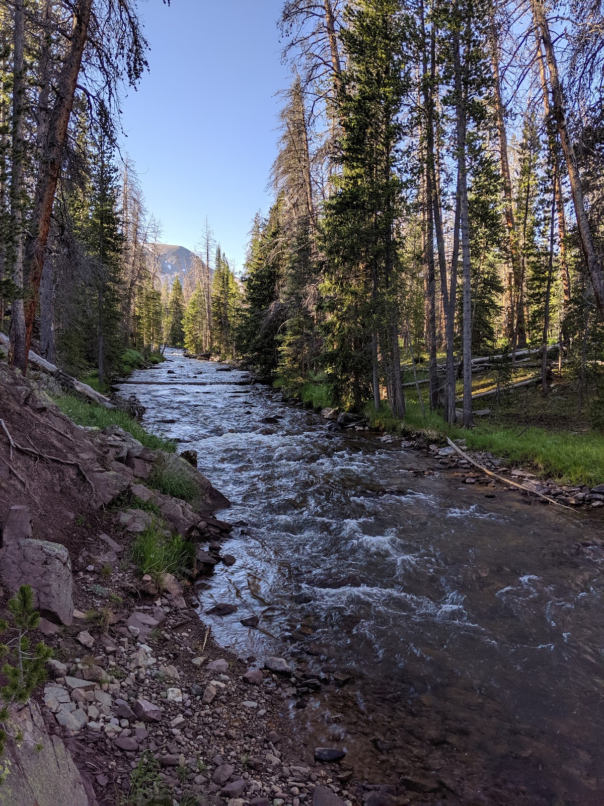 West Fork Blacks Fork