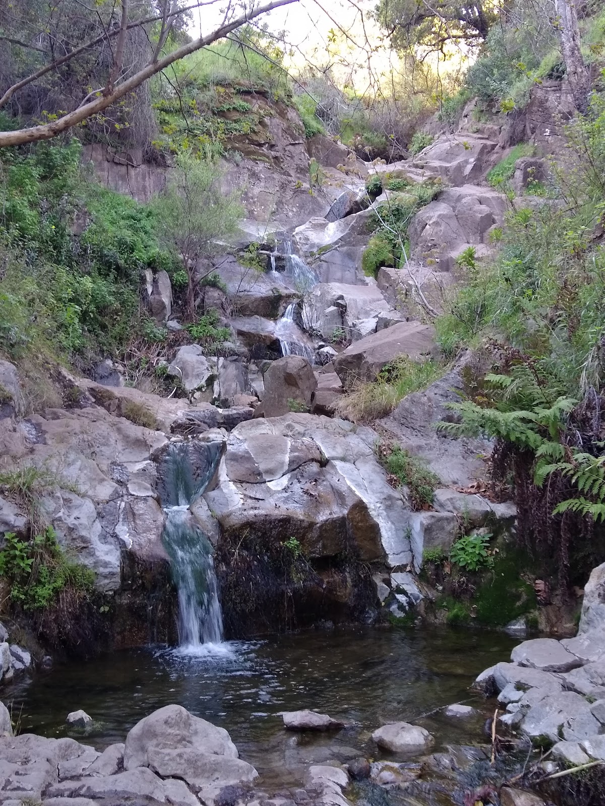 Upper Cabin Trail (Unofficial, Unmaintained)