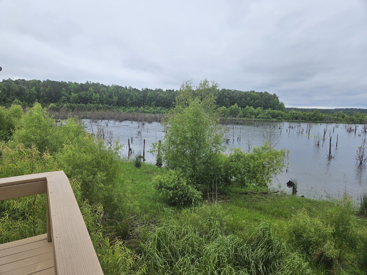 Lake Monticello