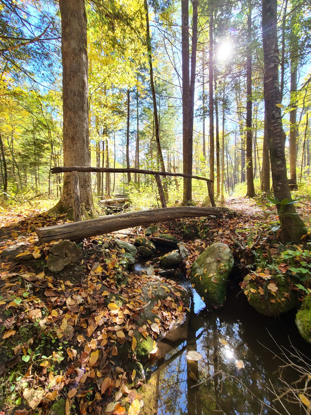 Twin Creeks Trail