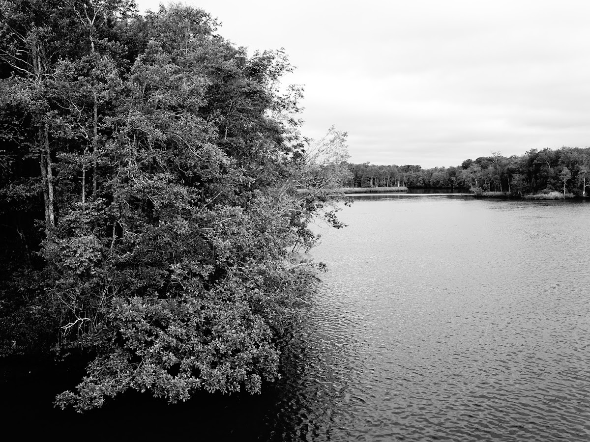 Canoochee River