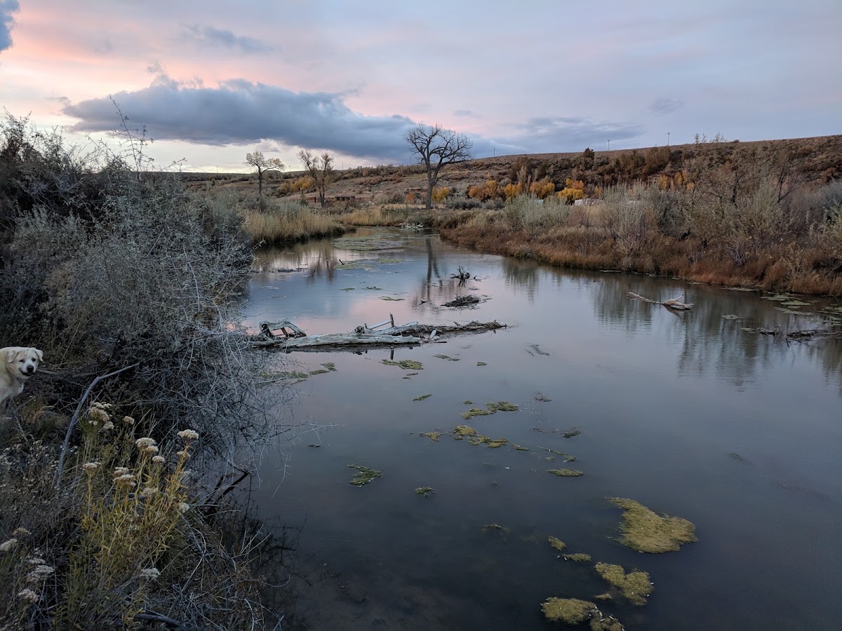 Strawberry River