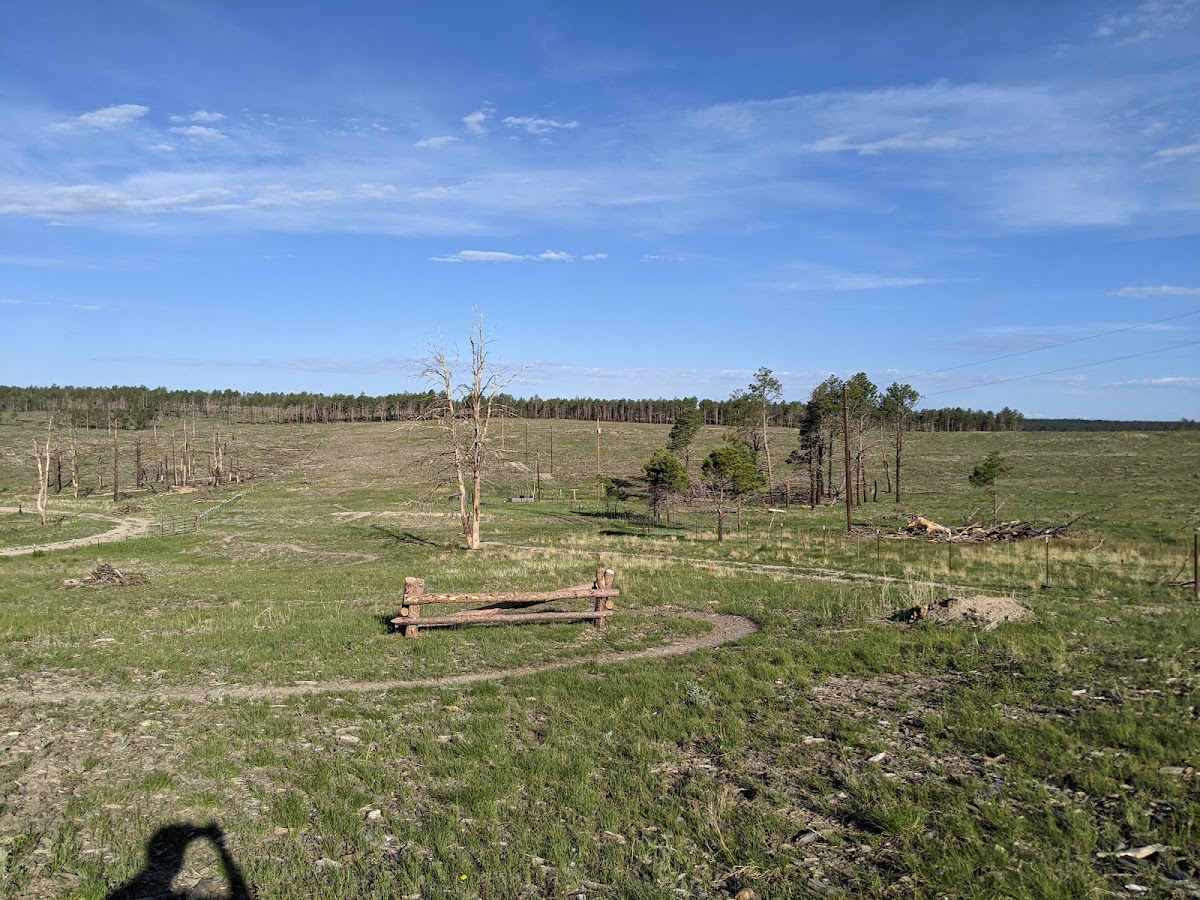 The Pineries Open Space