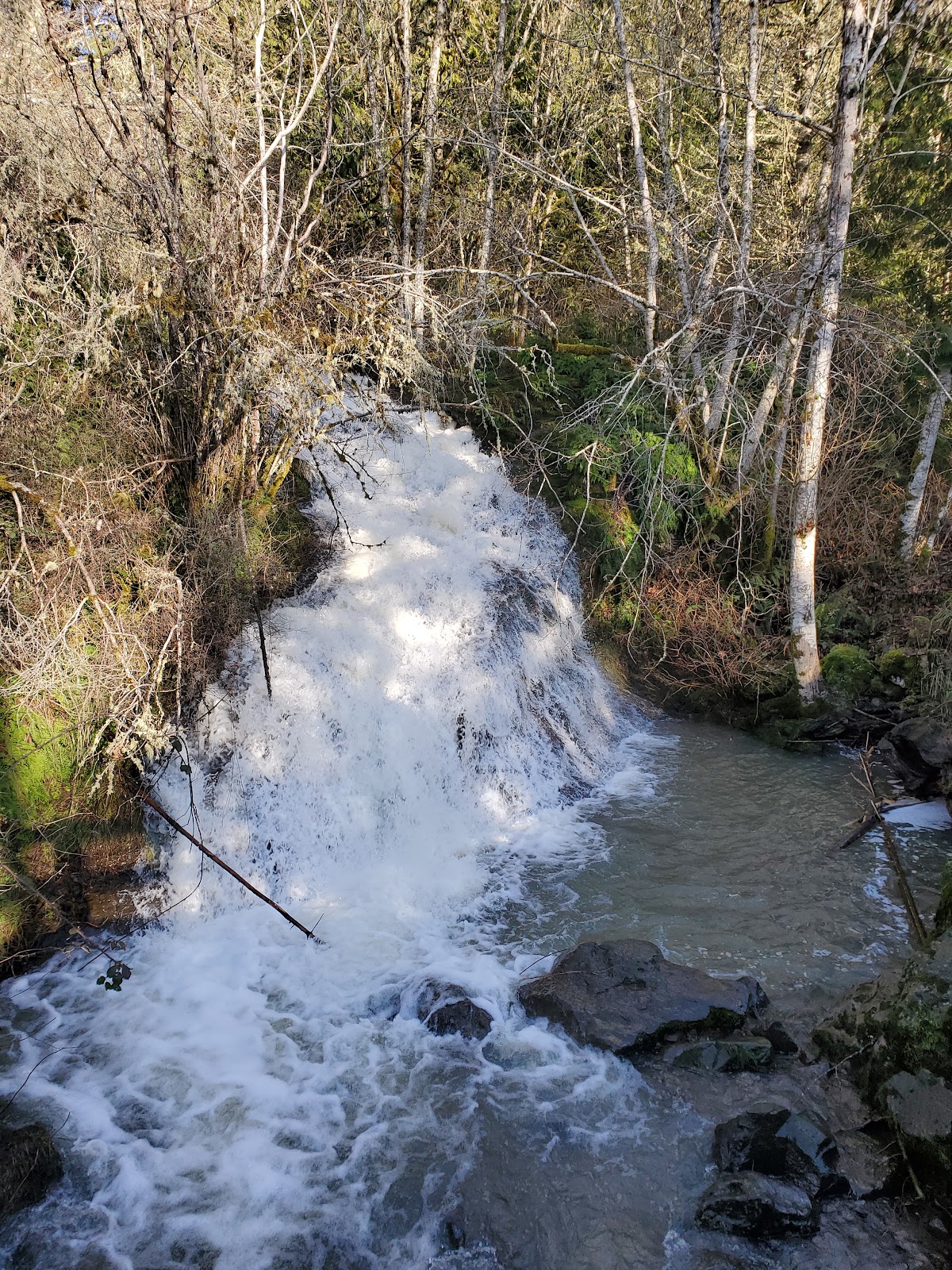 Skookumchuck River