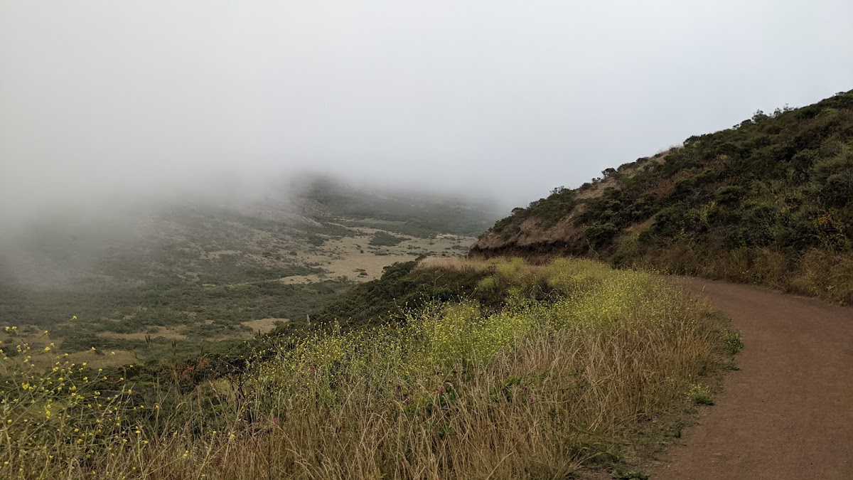 Bay Area Ridge Trail