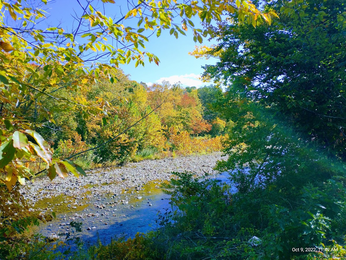 West Branch Westfield River