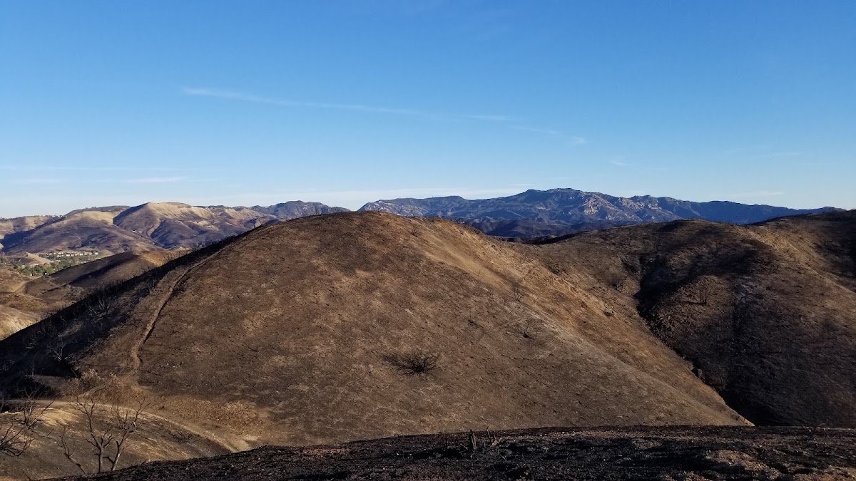 Liberty Canyon Trail