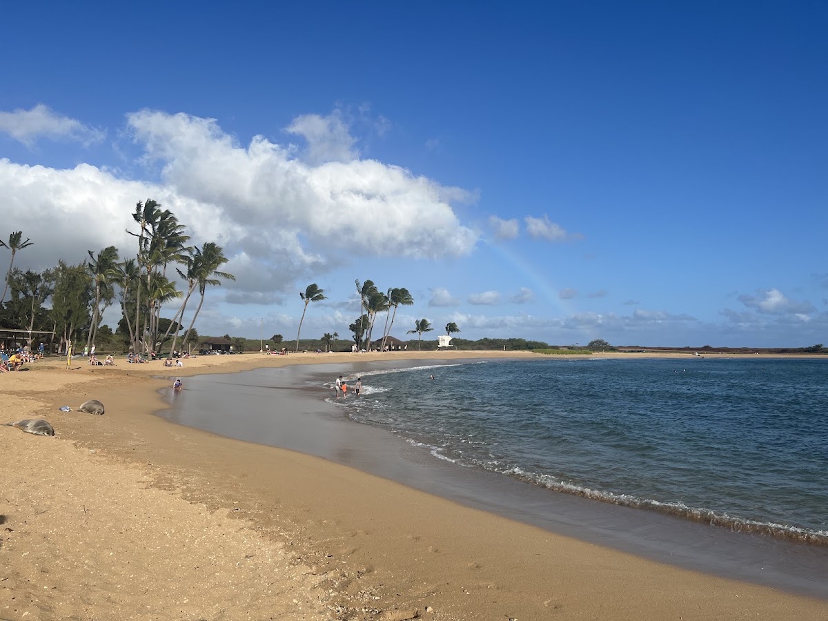 Salt Pond Beach