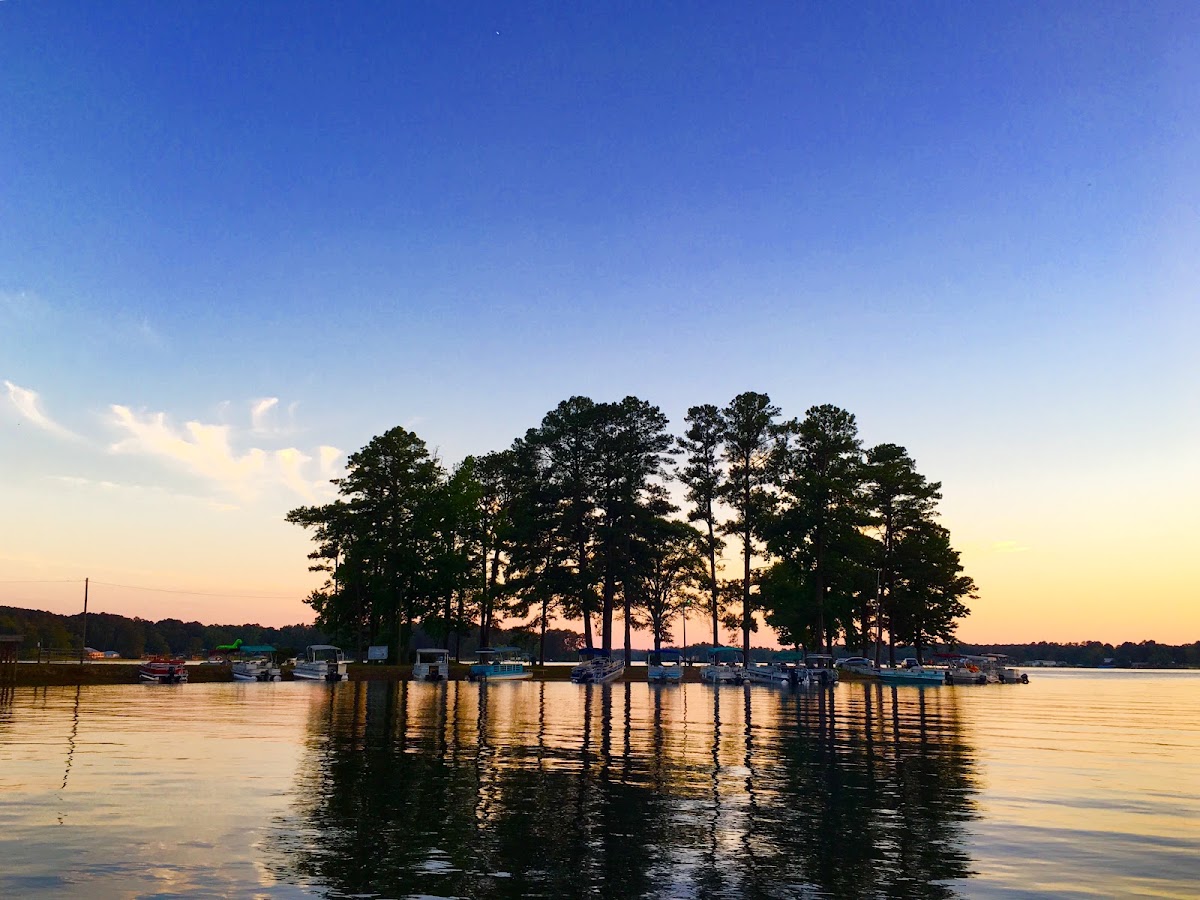 Dalewood Shore Lake