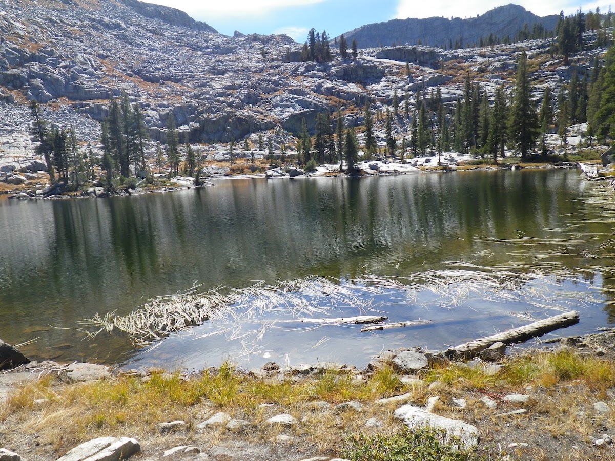 Mosquito Lakes Trail