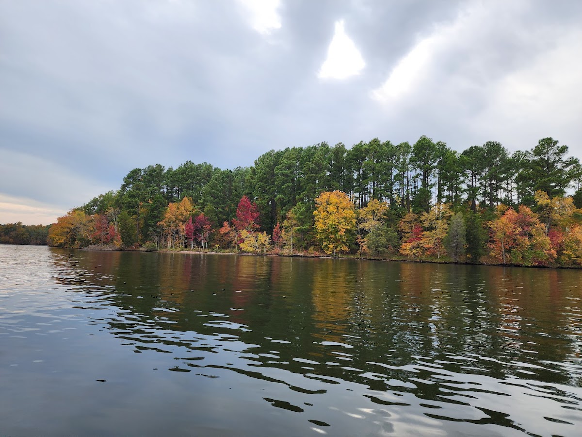 Hyco Lake