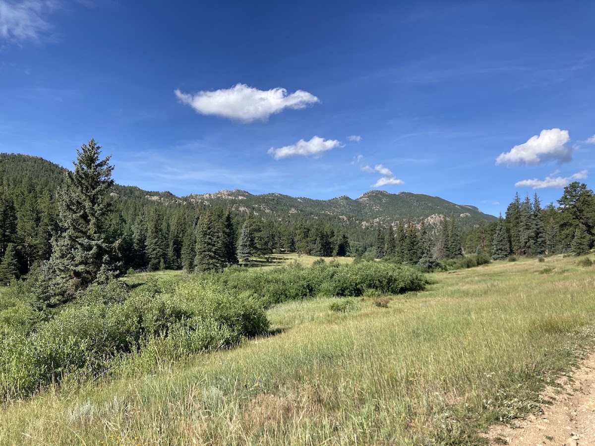 Cow Creek