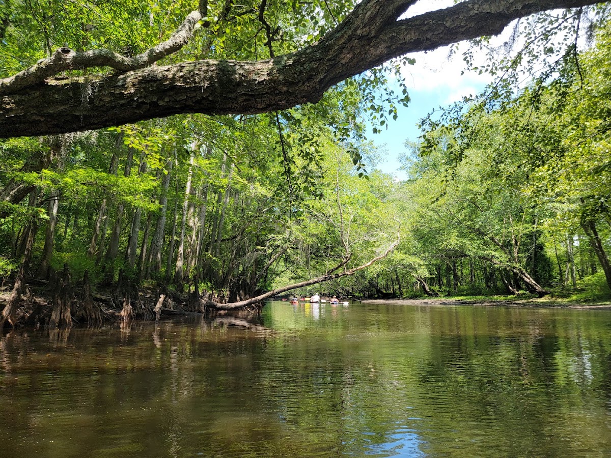 Edisto River
